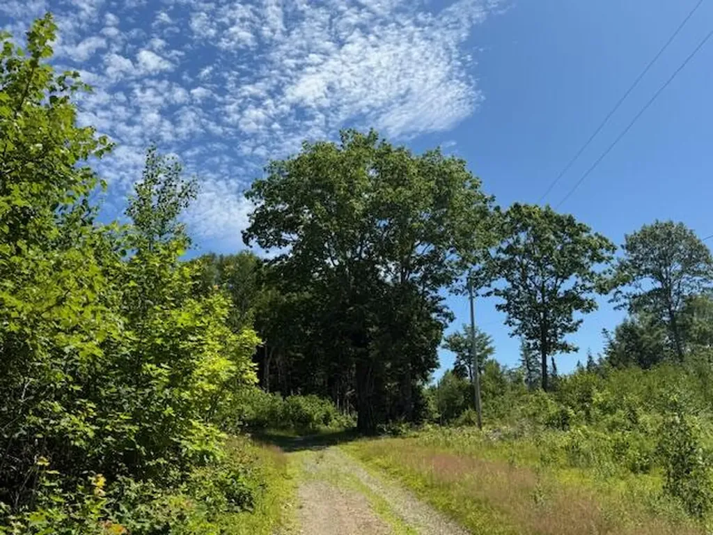 47 Tranquility Lane Perry ME 04667