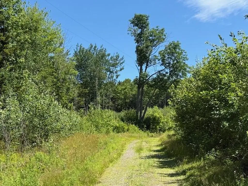 47 Tranquility Lane Perry ME 04667