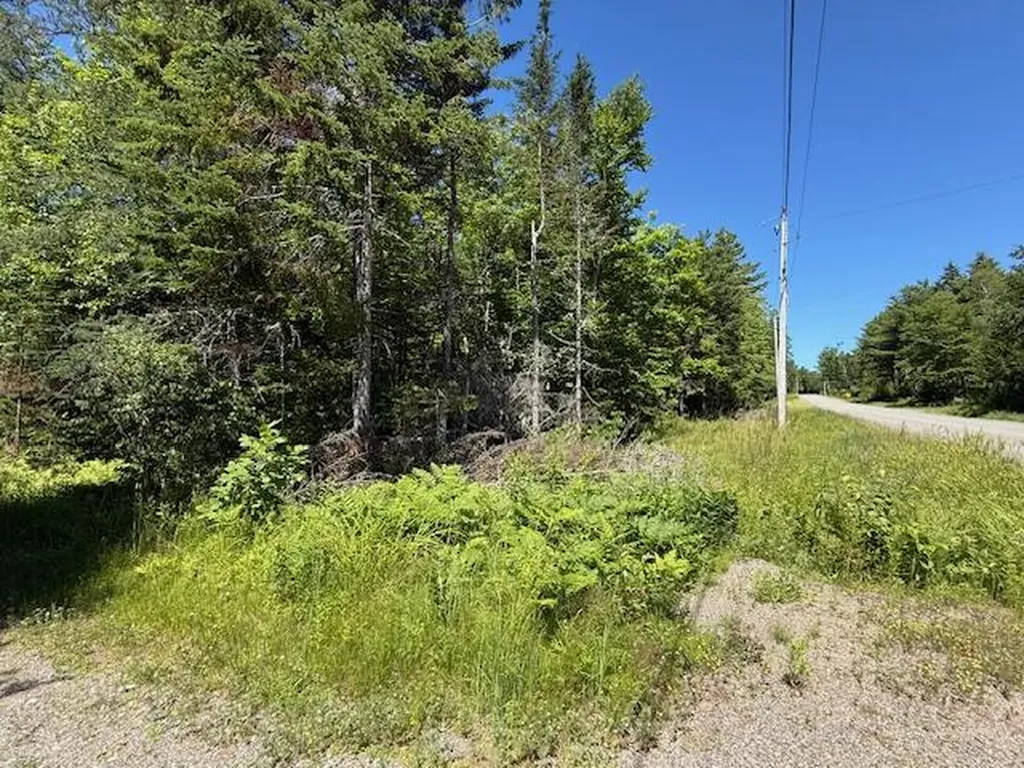 47 Tranquility Lane Perry ME 04667