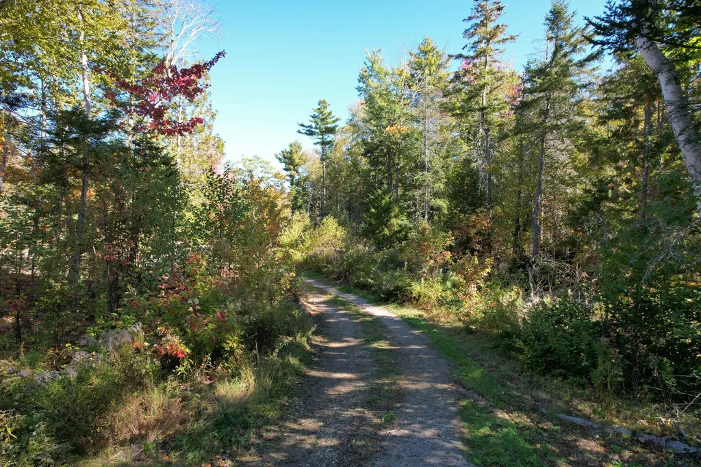 47 Tranquility Lane Perry ME 04667