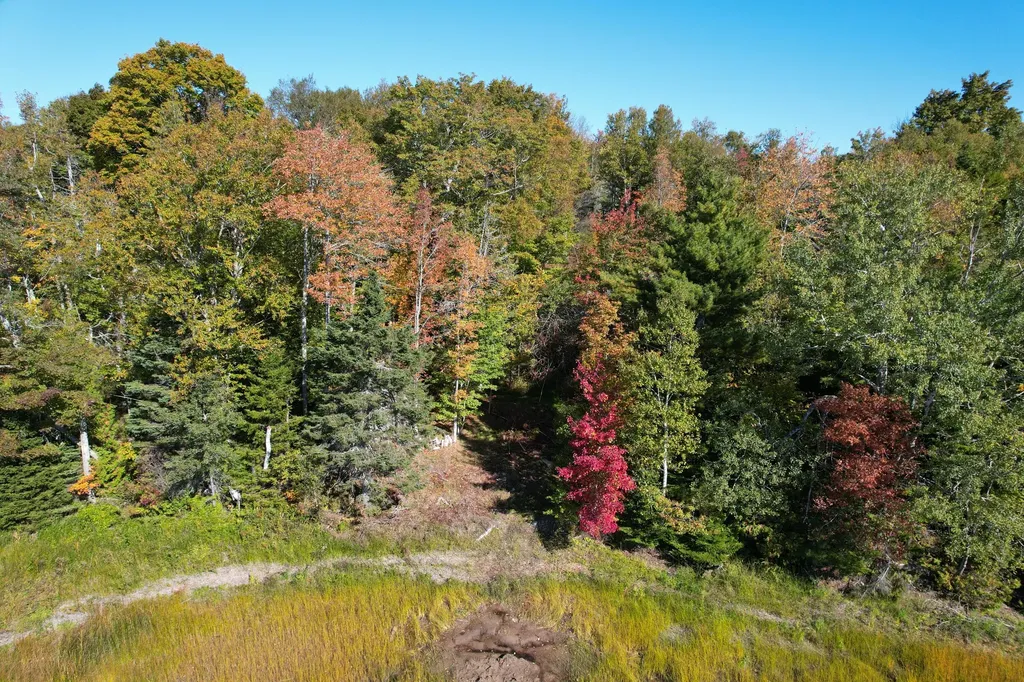 47 Tranquility Lane Perry ME 04667