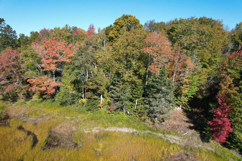 47 Tranquility Lane Perry ME 04667