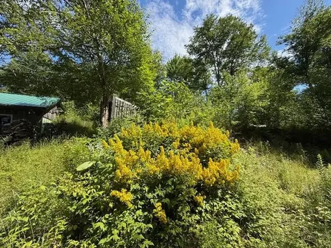 47 Tranquility Lane Perry ME 04667