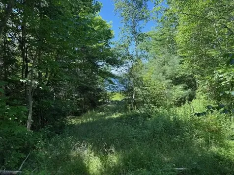 47 Tranquility Lane Perry ME 04667