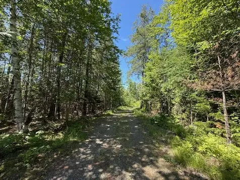 47 Tranquility Lane Perry ME 04667