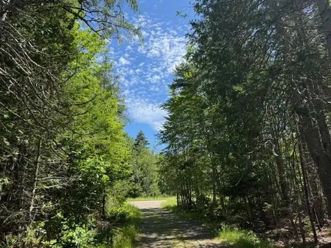 47 Tranquility Lane Perry ME 04667