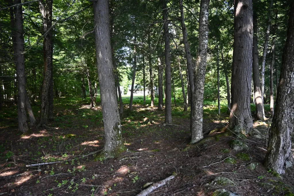 17 Fawn Drive Embden ME 04958