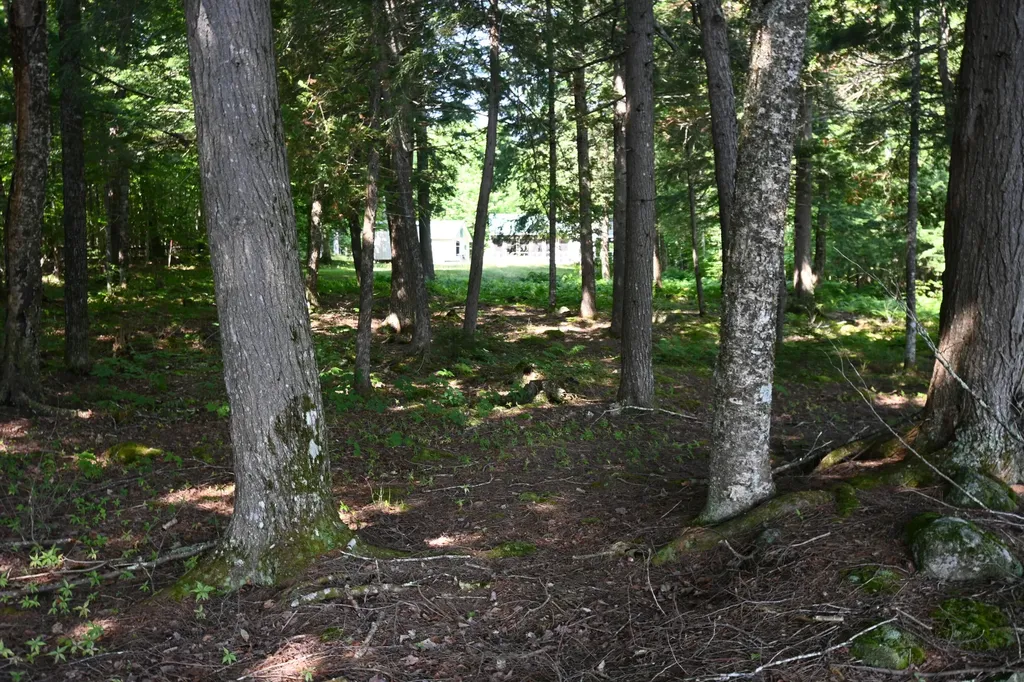 17 Fawn Drive Embden ME 04958