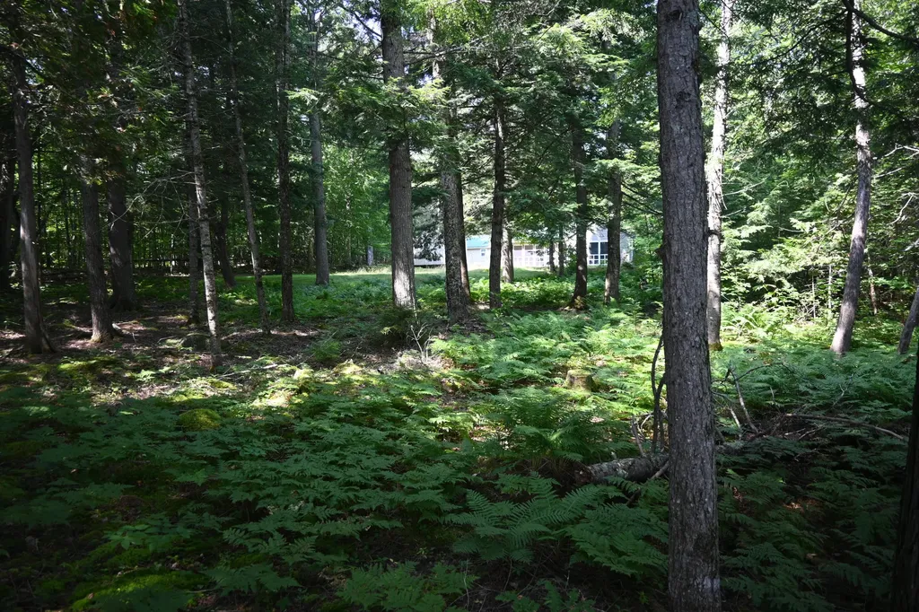 17 Fawn Drive Embden ME 04958