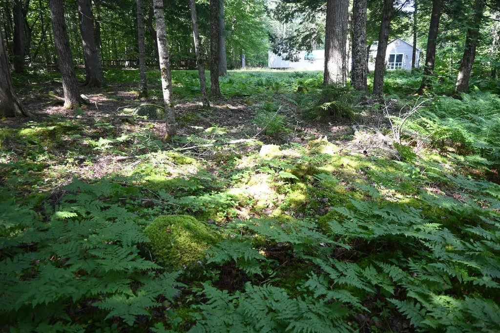 17 Fawn Drive Embden ME 04958