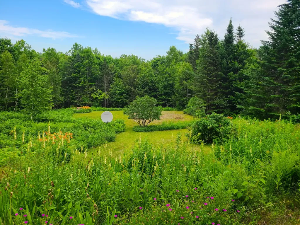 6 Percys Pocket Road Northport ME 04849