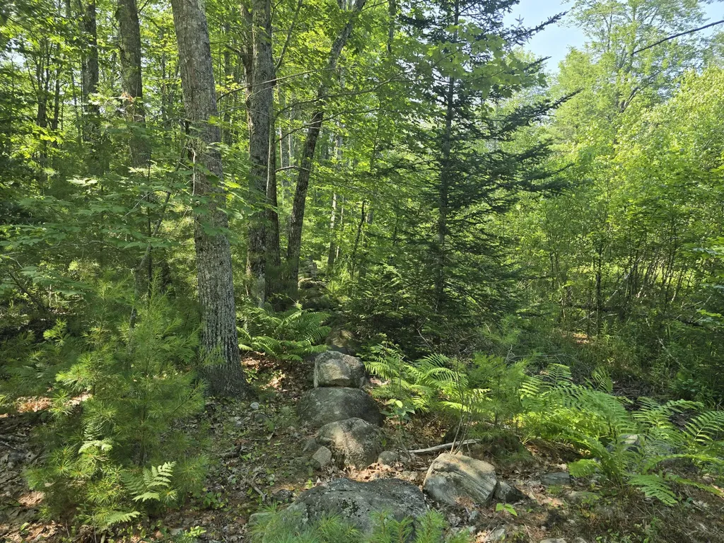 00 Head Tide Hill Road Alna ME 04535