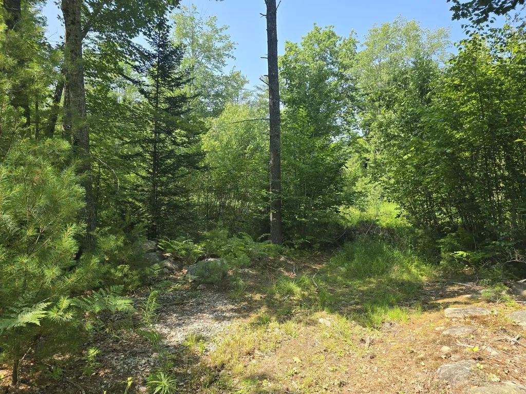 00 Head Tide Hill Road Alna ME 04535