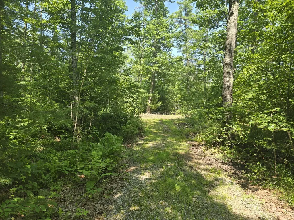00 Head Tide Hill Road Alna ME 04535