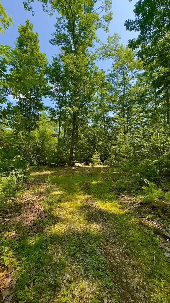 00 Head Tide Hill Road Alna ME 04535