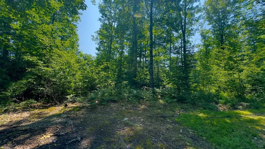 00 Head Tide Hill Road Alna ME 04535