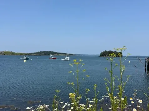 25 Pleasant Street Lubec ME 04652