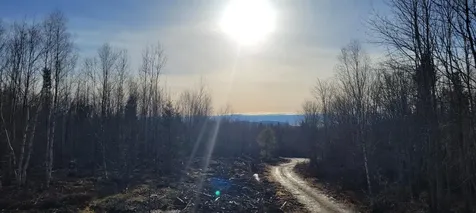 17-4 Sugar Hill Road Eastbrook ME 04634