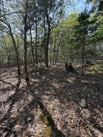 1026 Bucks Mills Road Bucksport ME 04416