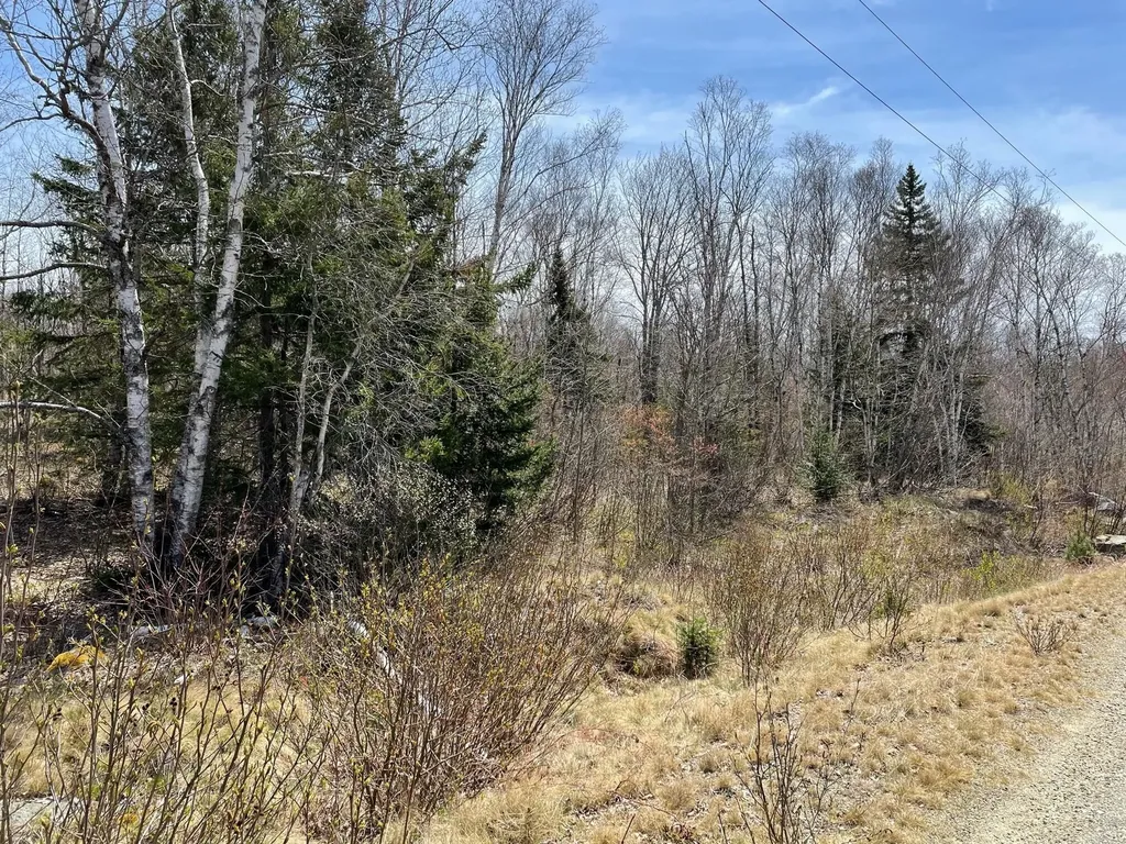 Lot 12 Reef Point Road Addison ME 04606
