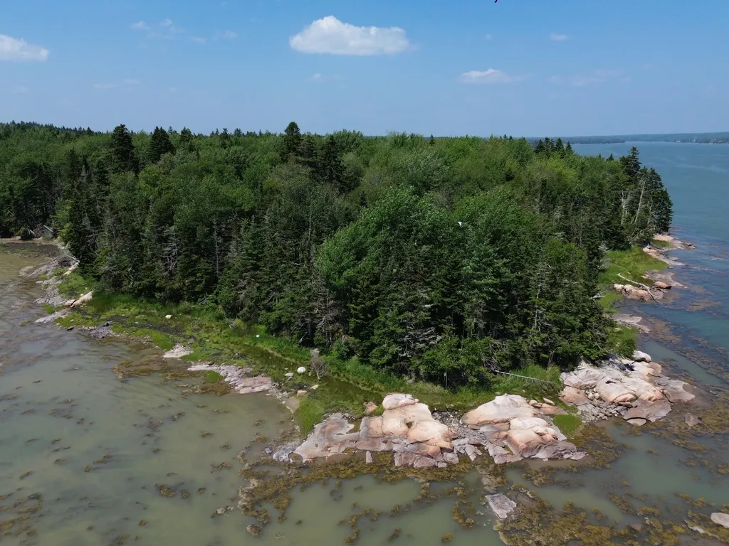 M7 L 5,6 Pineo Point Road Harrington ME 04643