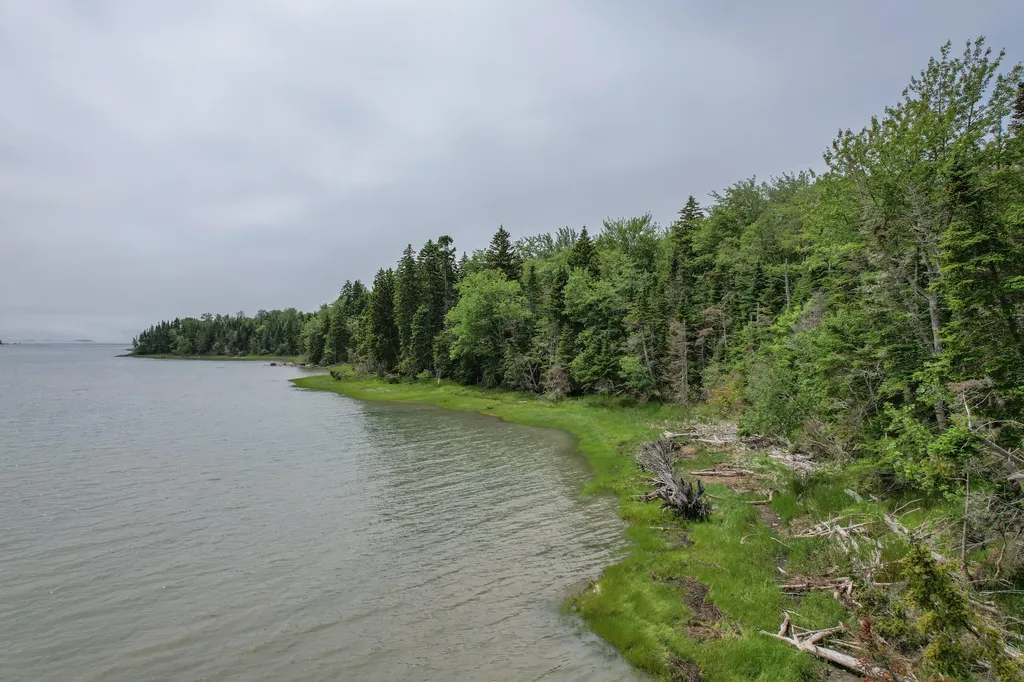 M7 L 5,6 Pineo Point Road Harrington ME 04643