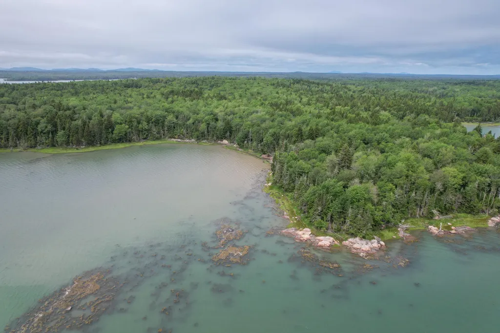 M7 L 5,6 Pineo Point Road Harrington ME 04643
