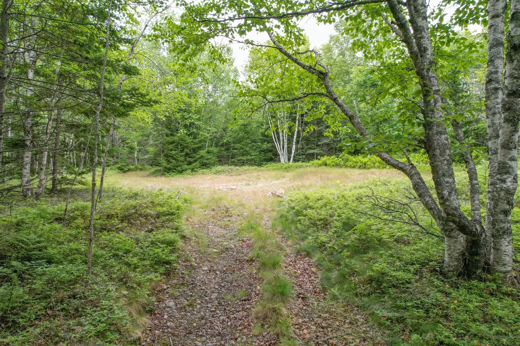 M7 L 5,6 Pineo Point Road Harrington ME 04643