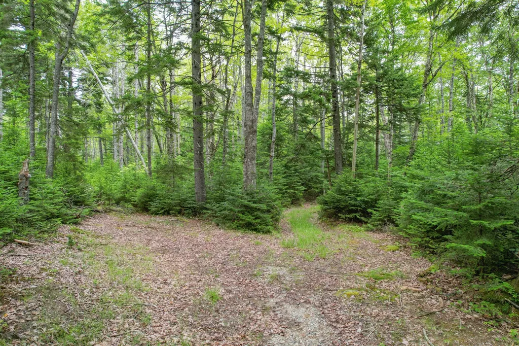 M7 L 5,6 Pineo Point Road Harrington ME 04643