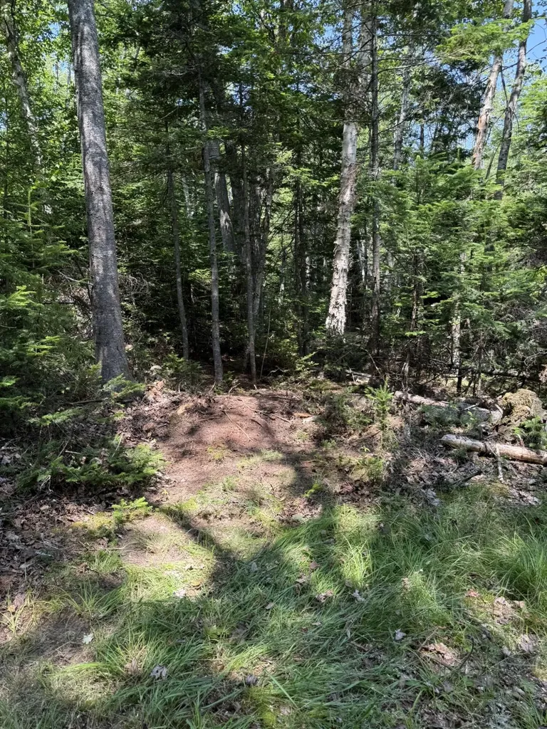 M7 L 5,6 Pineo Point Road Harrington ME 04643