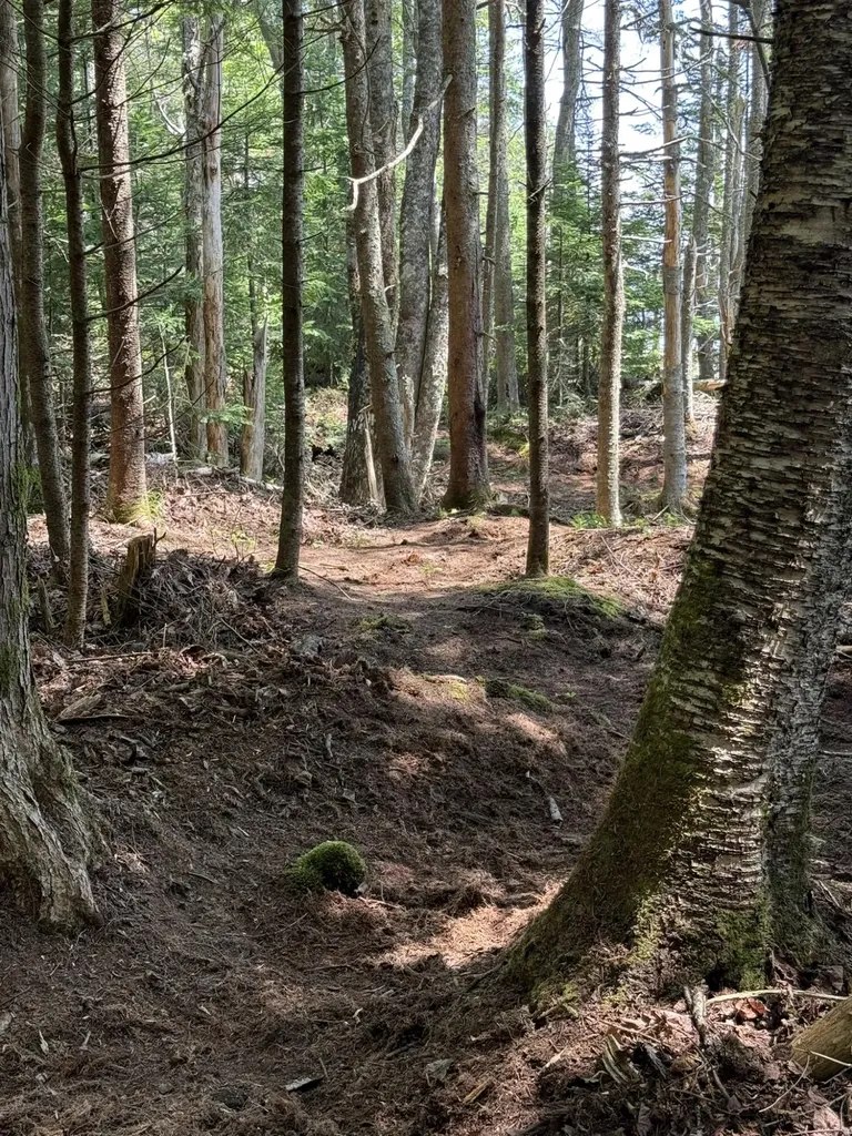 M7 L 5,6 Pineo Point Road Harrington ME 04643