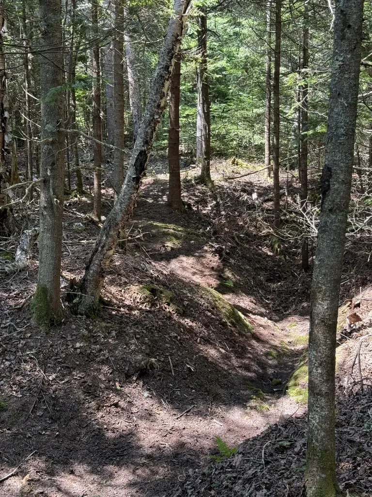 M7 L 5,6 Pineo Point Road Harrington ME 04643