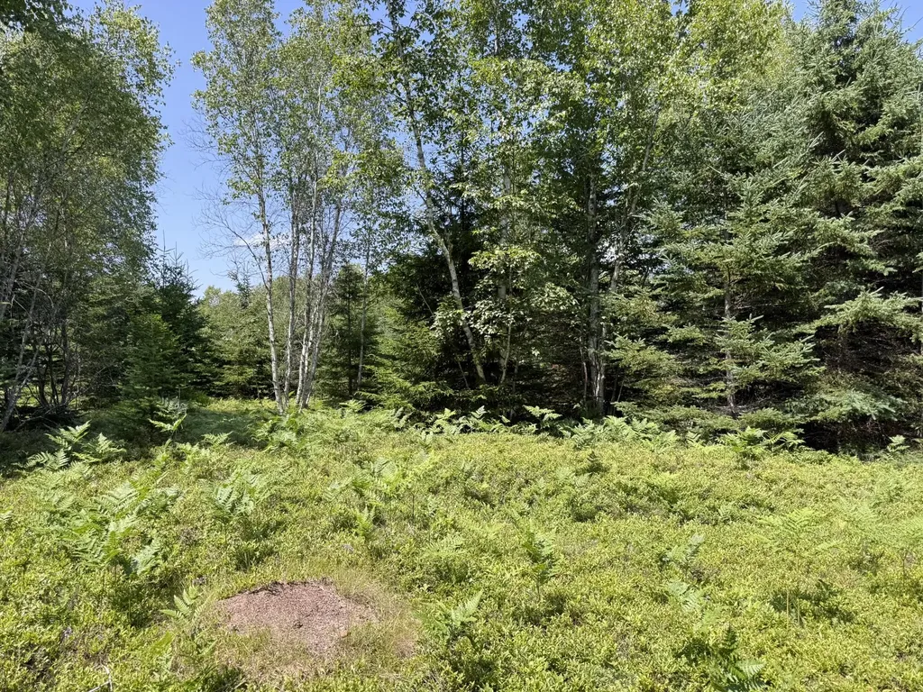M7 L 5,6 Pineo Point Road Harrington ME 04643