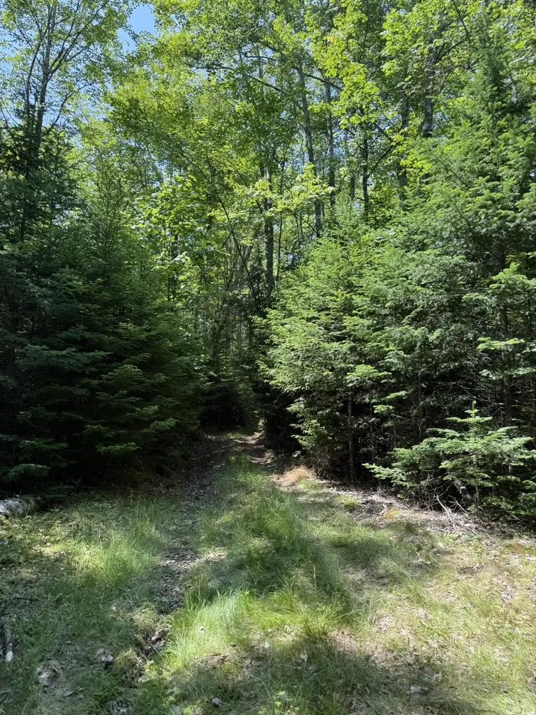 M7 L 5,6 Pineo Point Road Harrington ME 04643