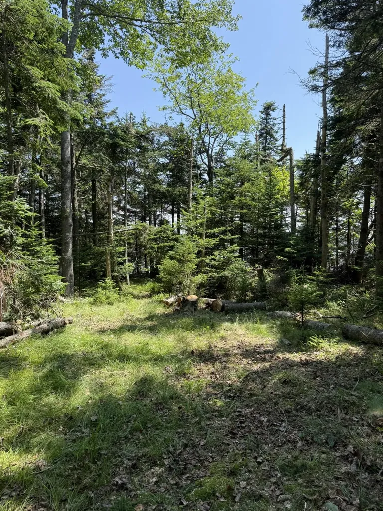M7 L 5,6 Pineo Point Road Harrington ME 04643