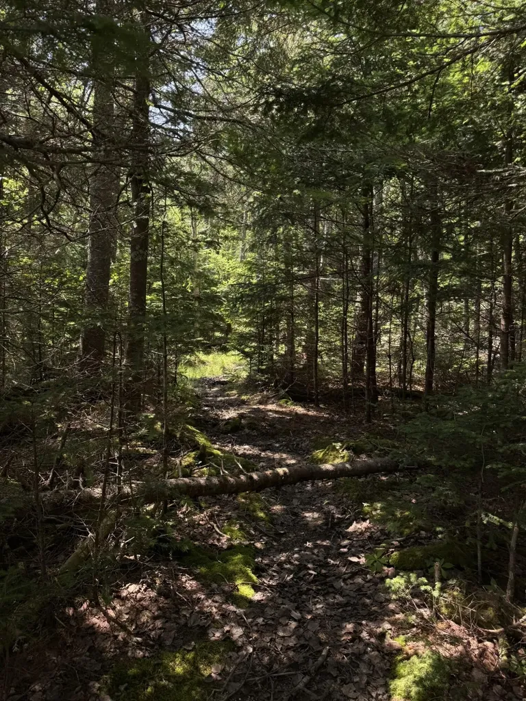 M7 L 5,6 Pineo Point Road Harrington ME 04643