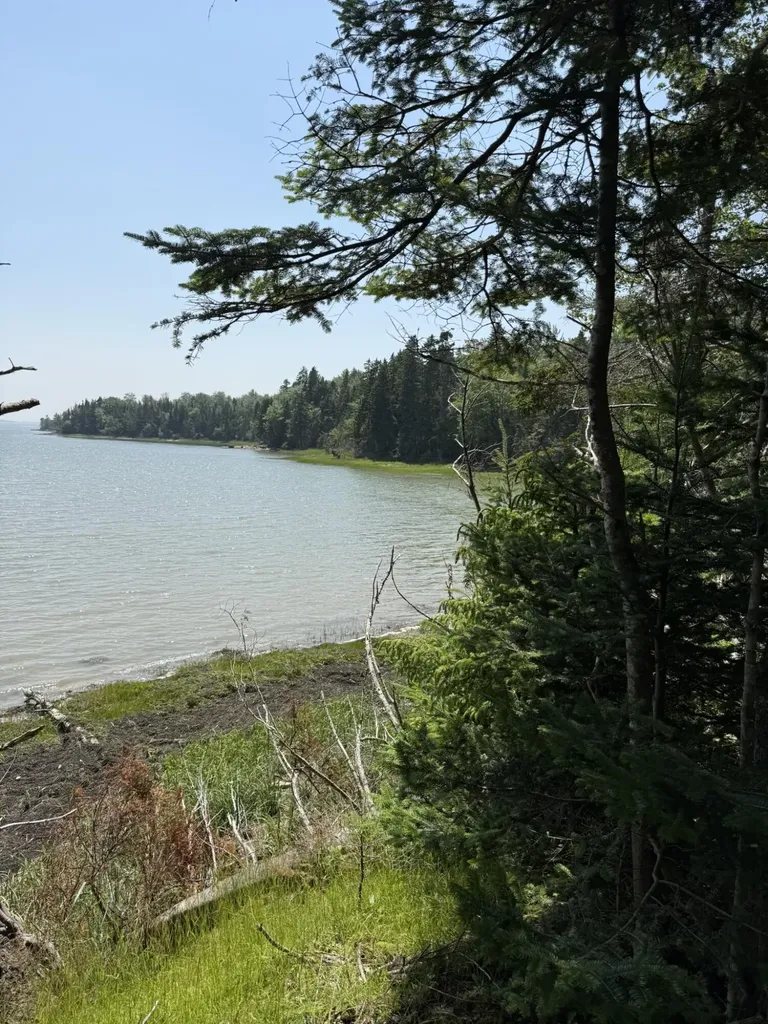 M7 L 5,6 Pineo Point Road Harrington ME 04643