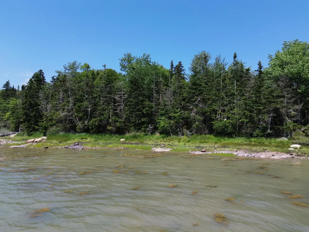 M7 L 5,6 Pineo Point Road Harrington ME 04643