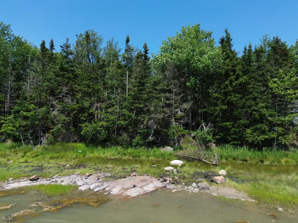 M7 L 5,6 Pineo Point Road Harrington ME 04643