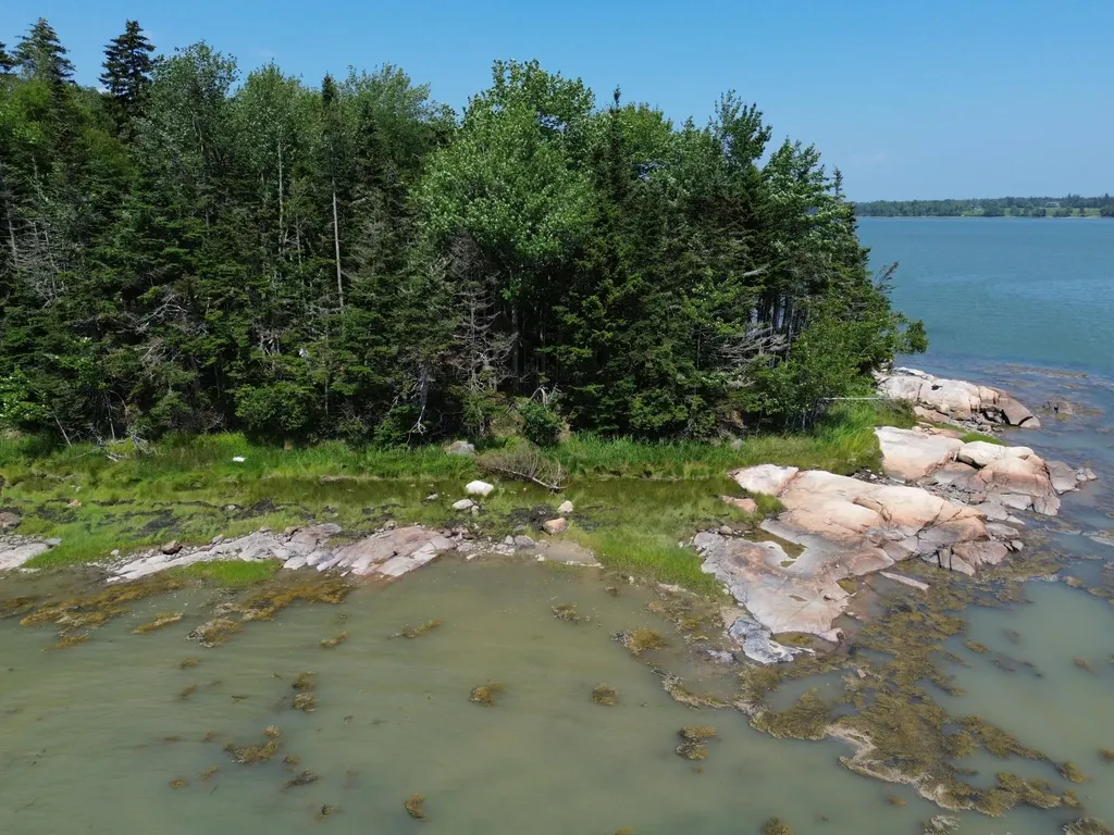 M7 L 5,6 Pineo Point Road Harrington ME 04643