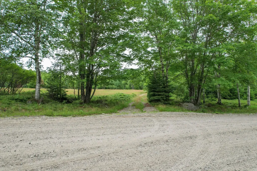 M7 L 5,6 Pineo Point Road Harrington ME 04643