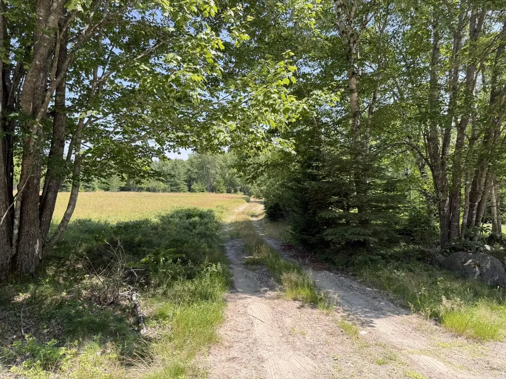 M7 L 5,6 Pineo Point Road Harrington ME 04643