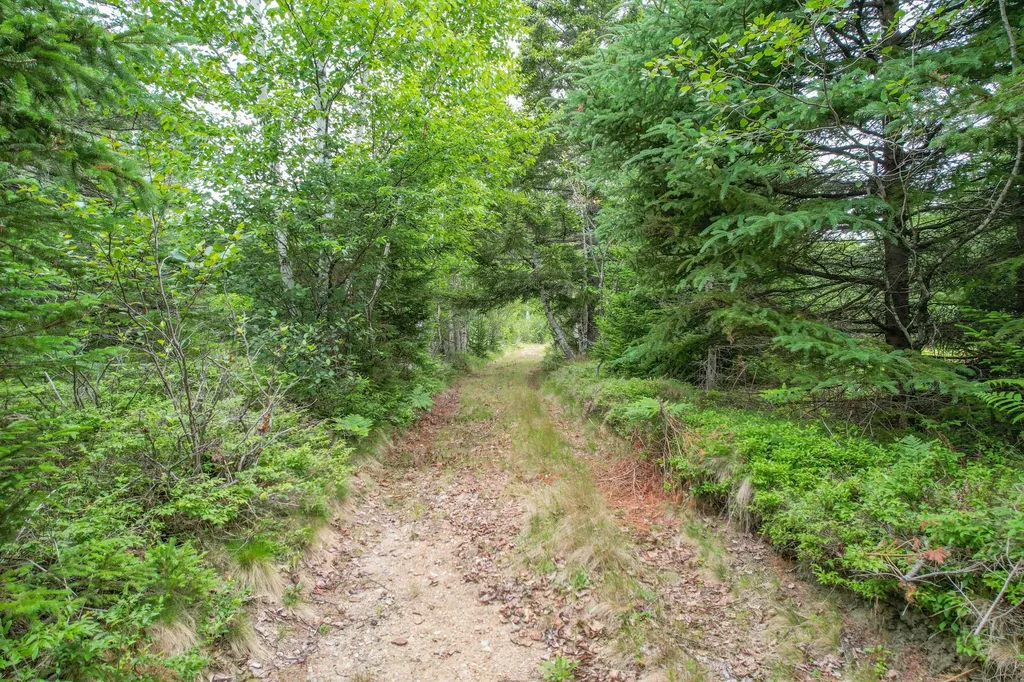M7 L 5,6 Pineo Point Road Harrington ME 04643