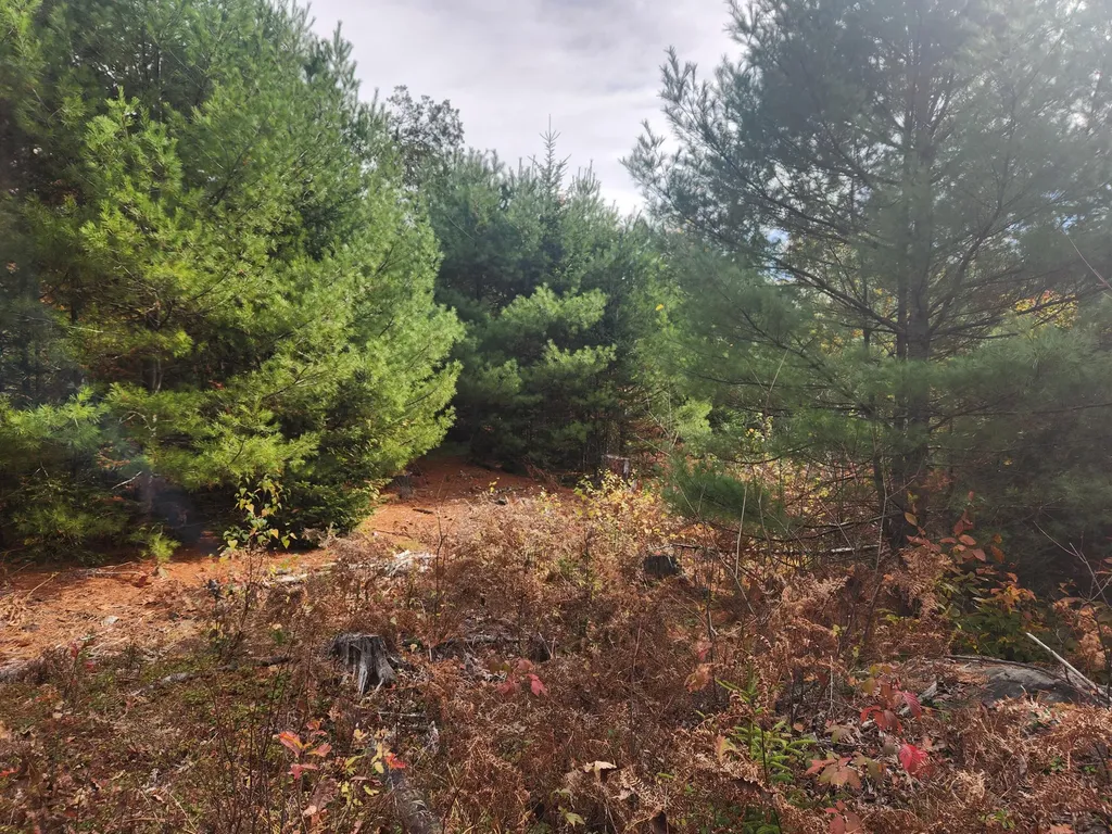 Lot B Blackberry Lane Buckfield ME 04220
