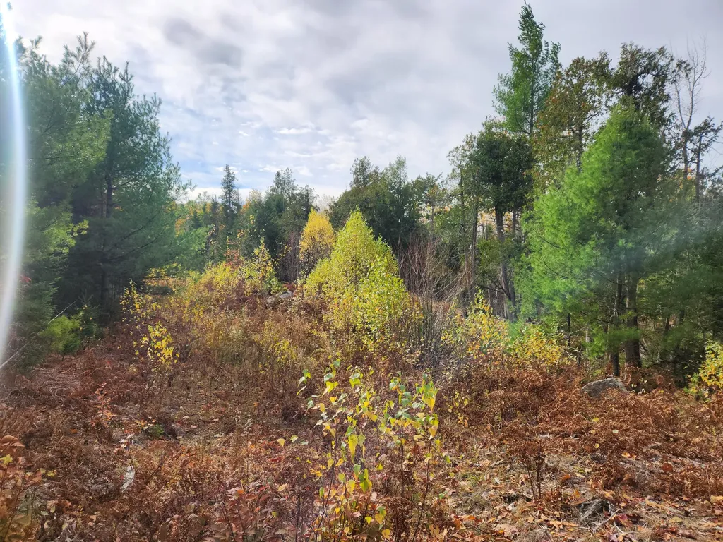 Lot B Blackberry Lane Buckfield ME 04220