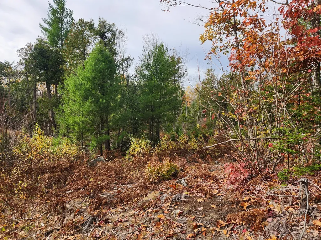 Lot B Blackberry Lane Buckfield ME 04220