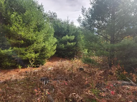 Lot B Blackberry Lane Buckfield ME 04220
