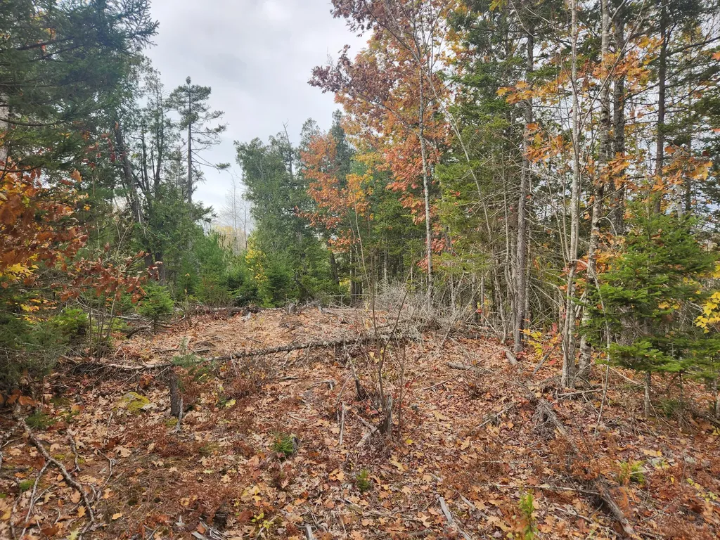 Lot A Blackberry Lane Buckfield ME 04220