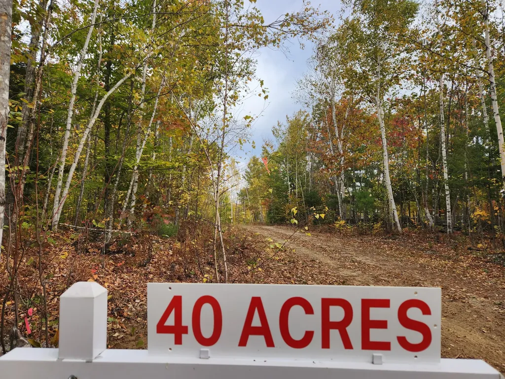 Lot C Fern Drive Buckfield ME 04220