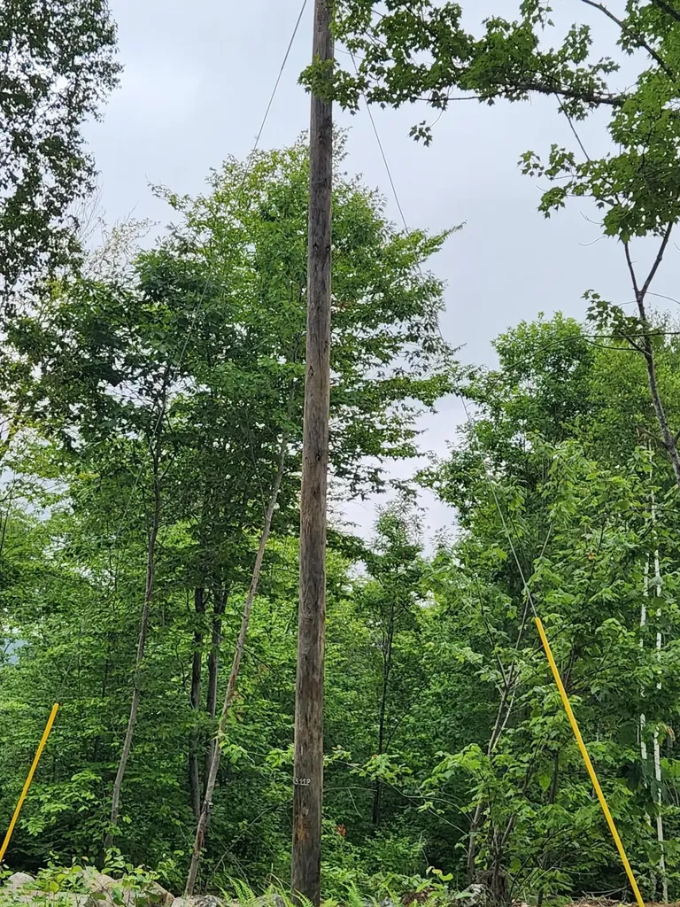Lot C Fern Drive Buckfield ME 04220